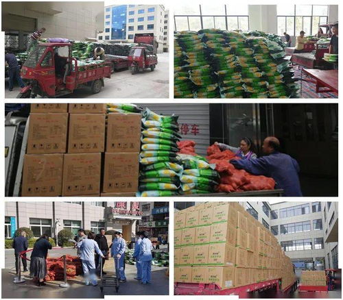 慶元9天高效派送253噸農產品，東西部消費扶貧任務圓滿完成