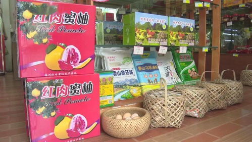 農村電商網紅助力農產品熱銷，促進農民增收致富