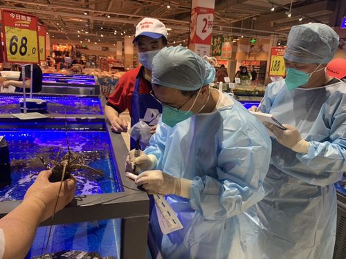浙江首批菜場三文魚樣品檢測結(jié)果出爐 零售食用農(nóng)產(chǎn)品安全狀況引關(guān)注